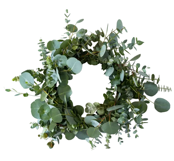 Fresh Mixed Eucalyptus Wreath: wreath of green, leafy eucalyptus