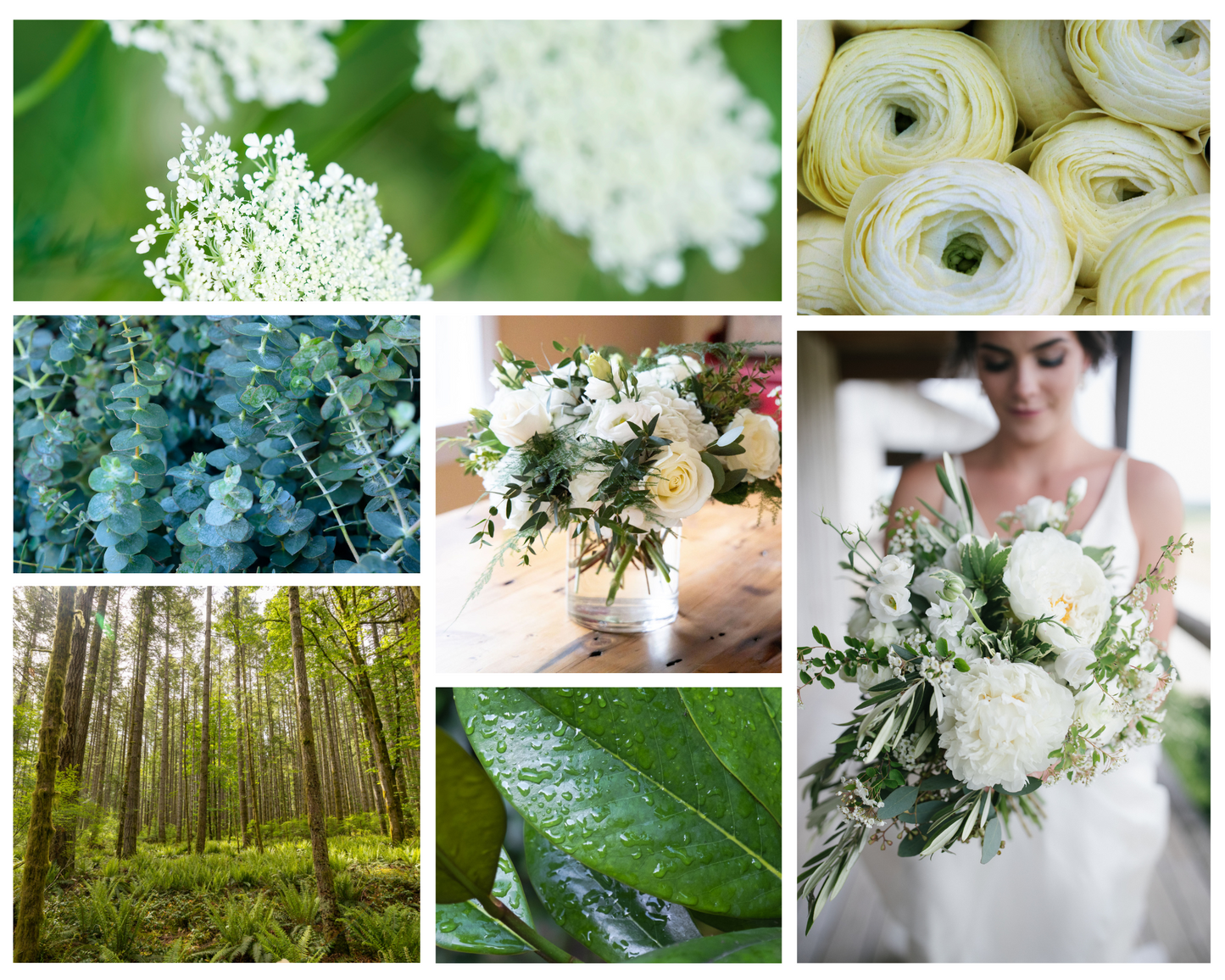 Dogwood Color Palette: baby's breath, white peonies, eucalyptus plants, a green wooded forest, green leaves, and two floral arrangements of whites, creams, and greens