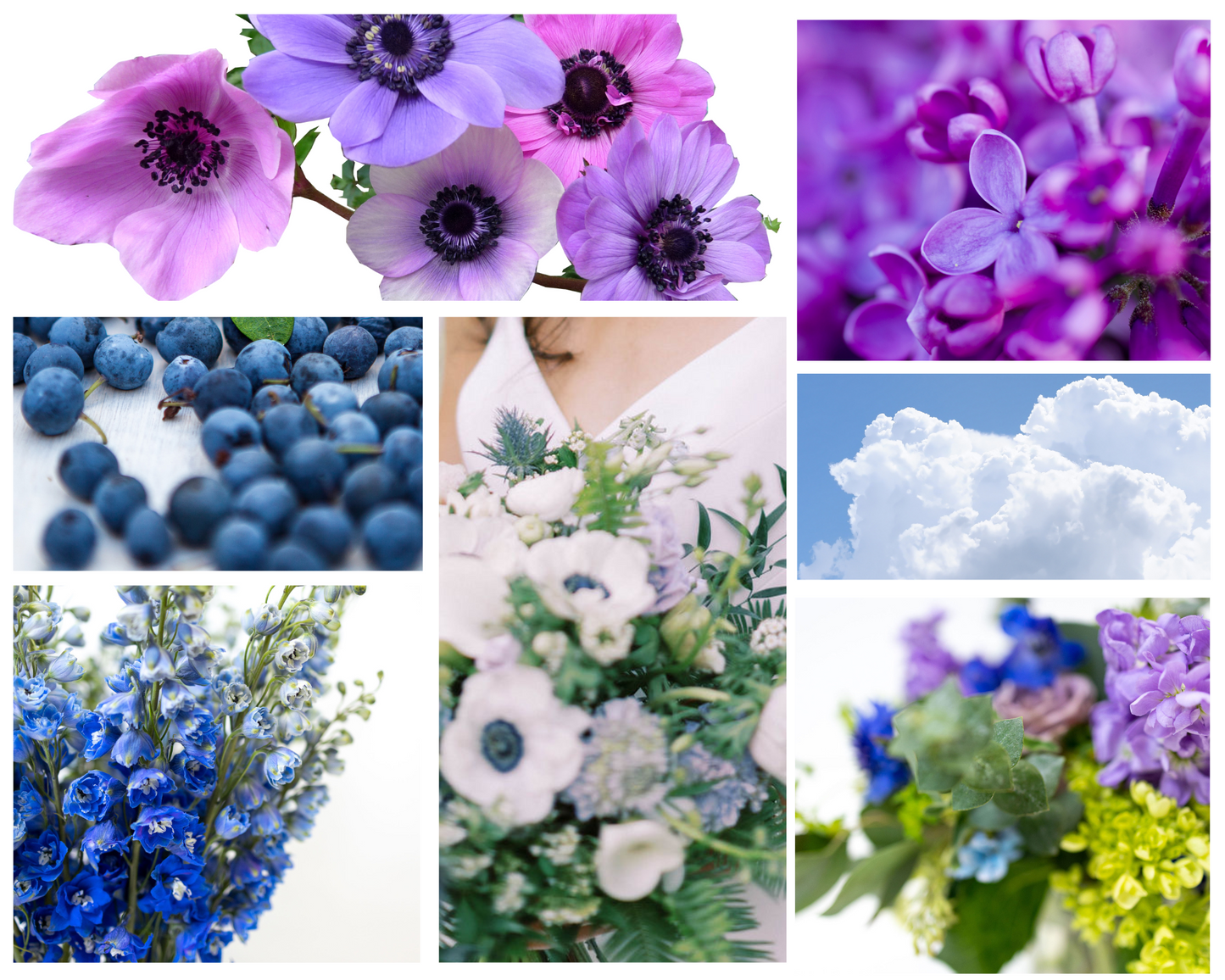 Periwinkle Color Palette: blueberries, a blue sky with white clouds, and various floral arrangements in shades of purple, lilac, blue, and white