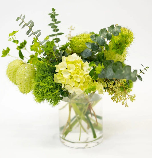 Bouquet of green green flowers and eucalyptus in a clear vase on a white background