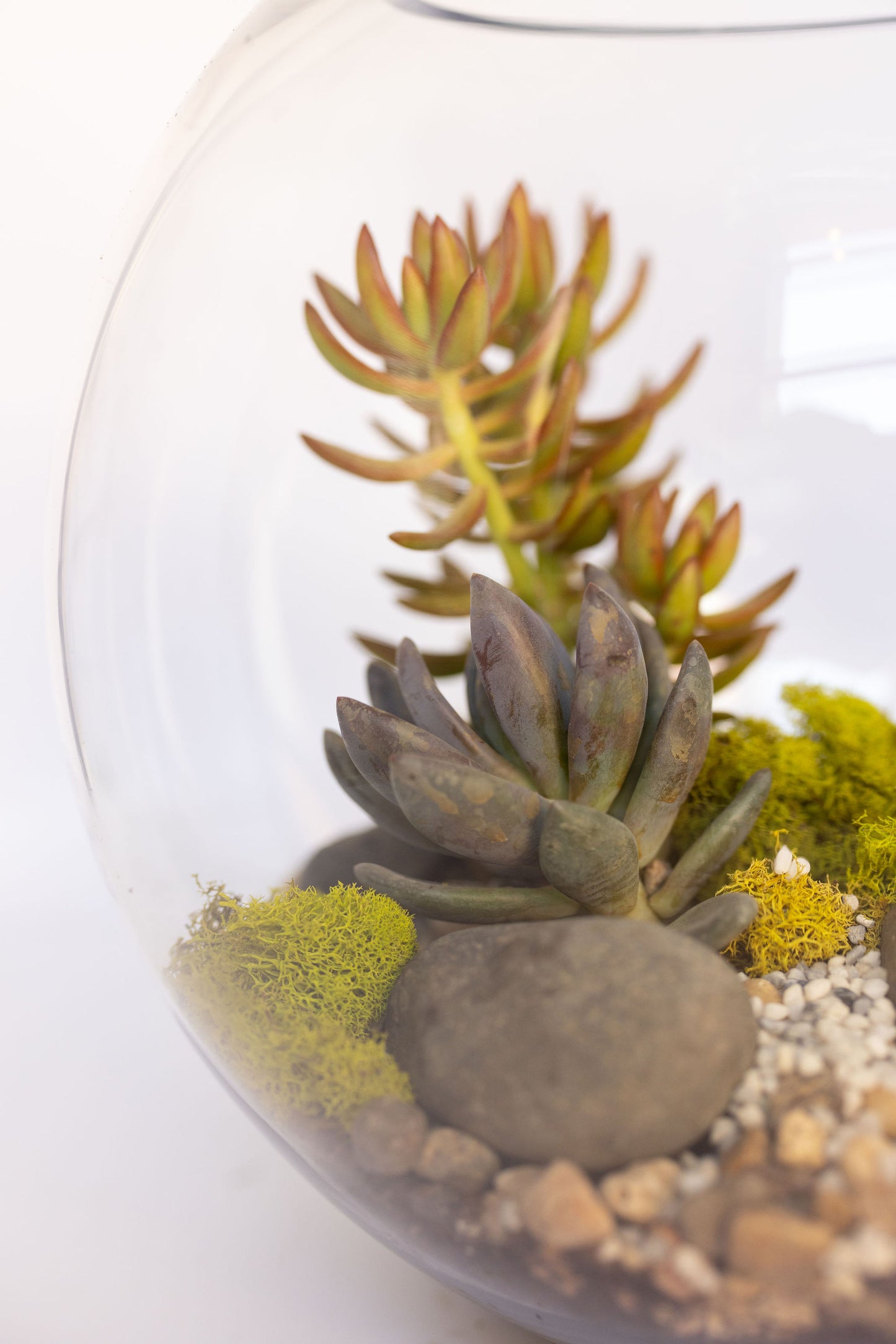 Father & Child Terrarium Experience - Create, connect, and grow something together.