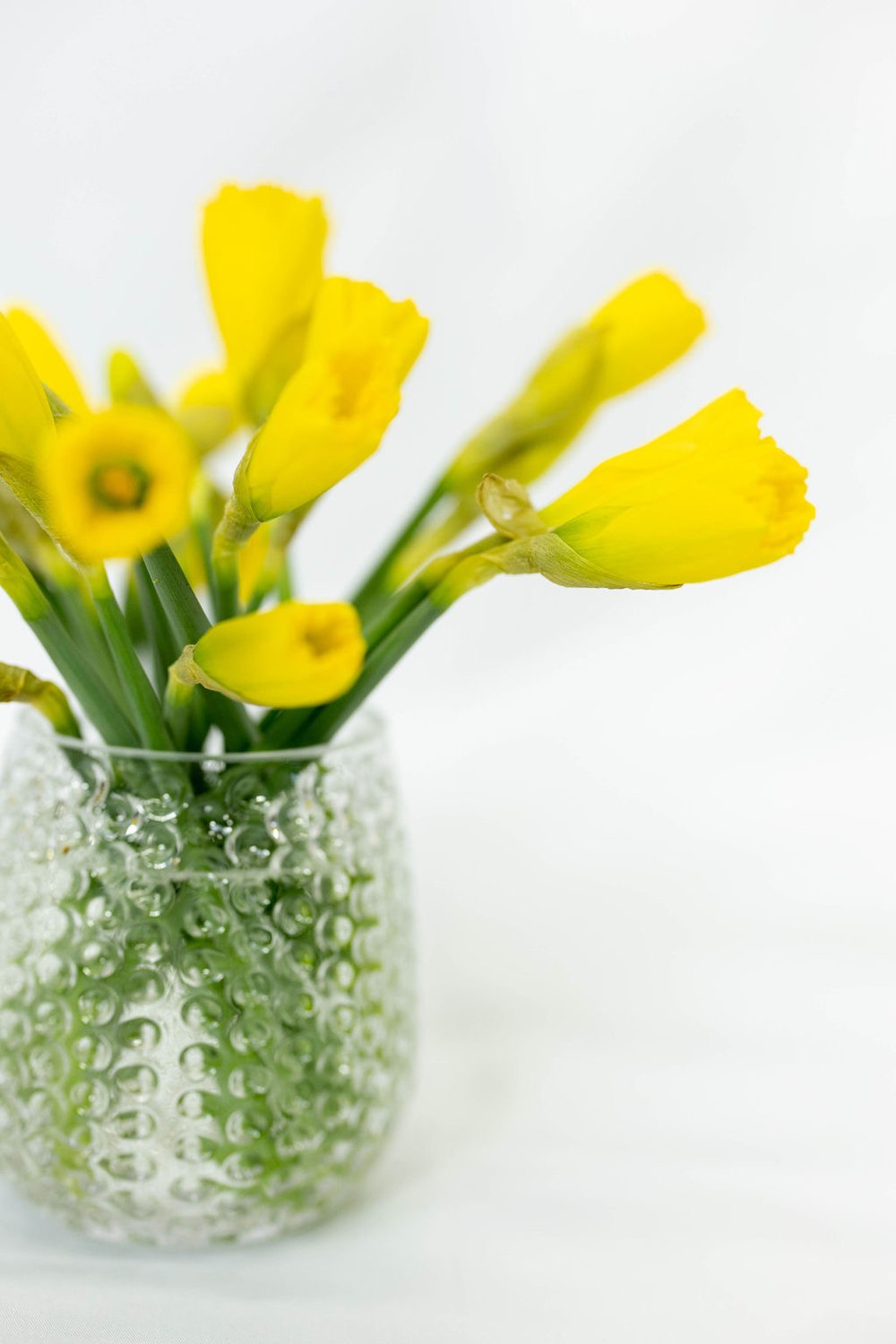 Yellow daffodils in a clear vase