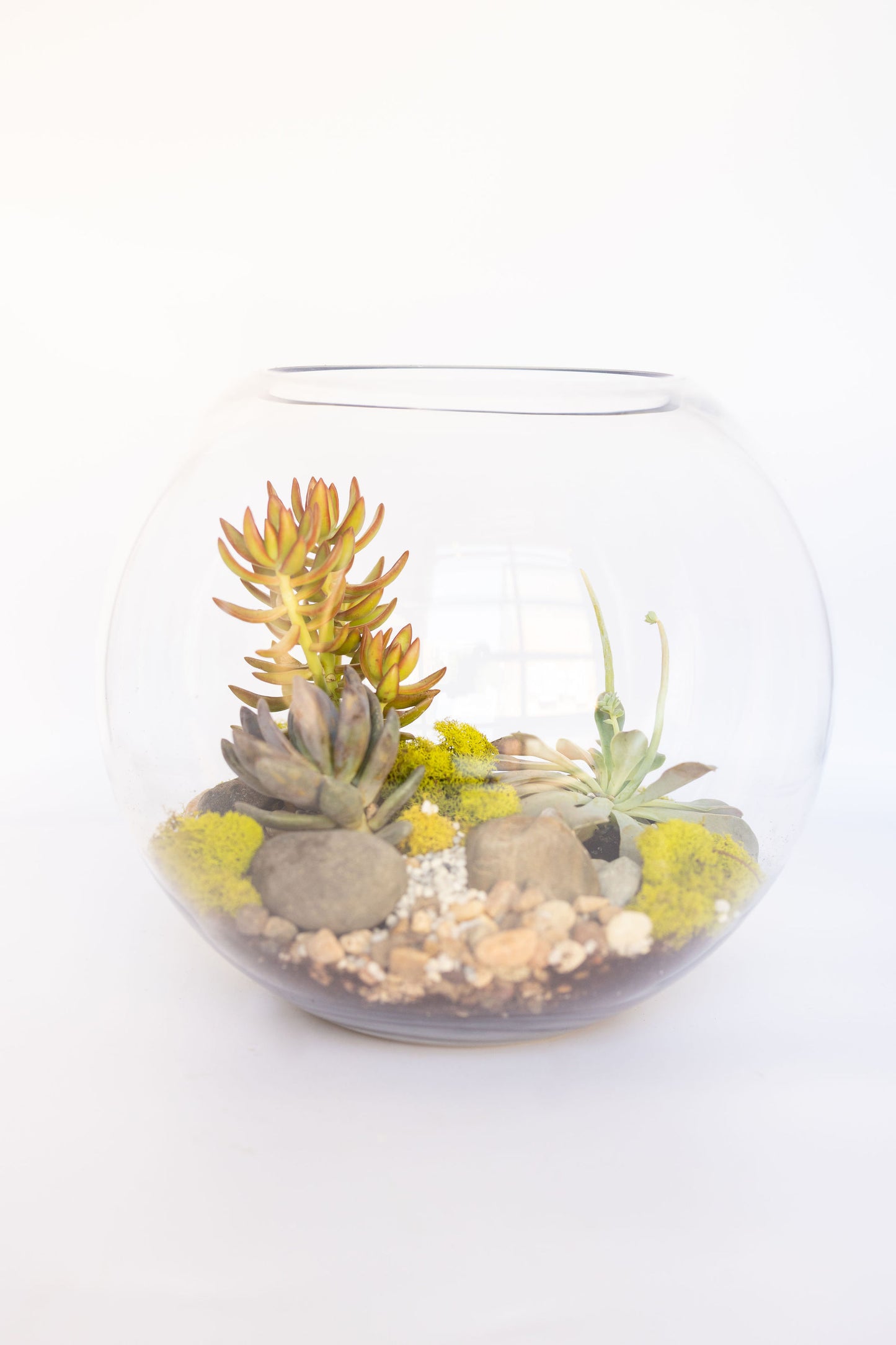 Father & Child Terrarium Experience - Create, connect, and grow something together.