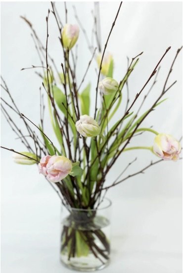 Clear vase with light pink flowers and branches on a white background